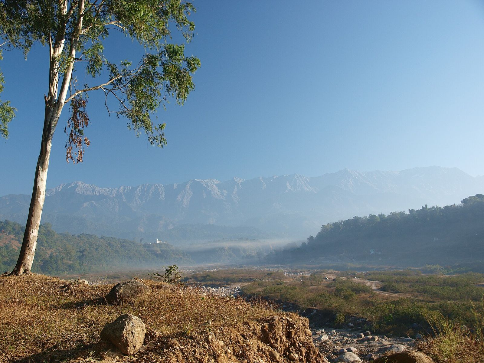 Morning mist over the Chambi Khad valley in Kangra district with the Dhauladhar range beyond